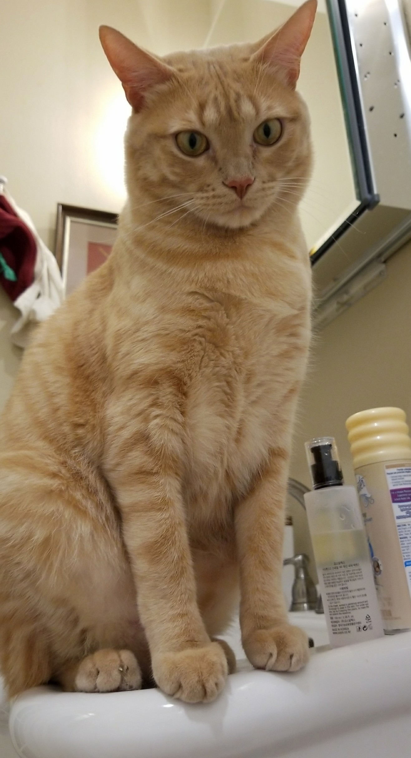 Every Time I Shave My Legs.