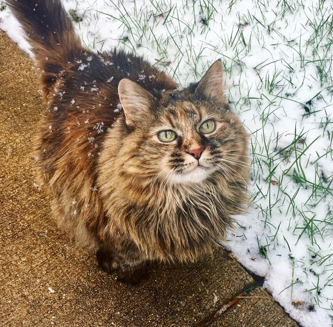 First Snow of the Season!