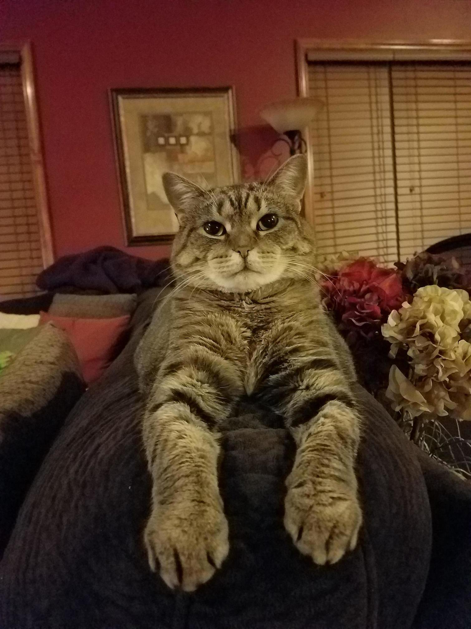 Great Sphinx of Giza