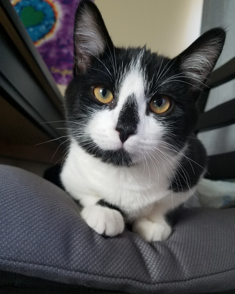 Hes Staring Into Your Soul.