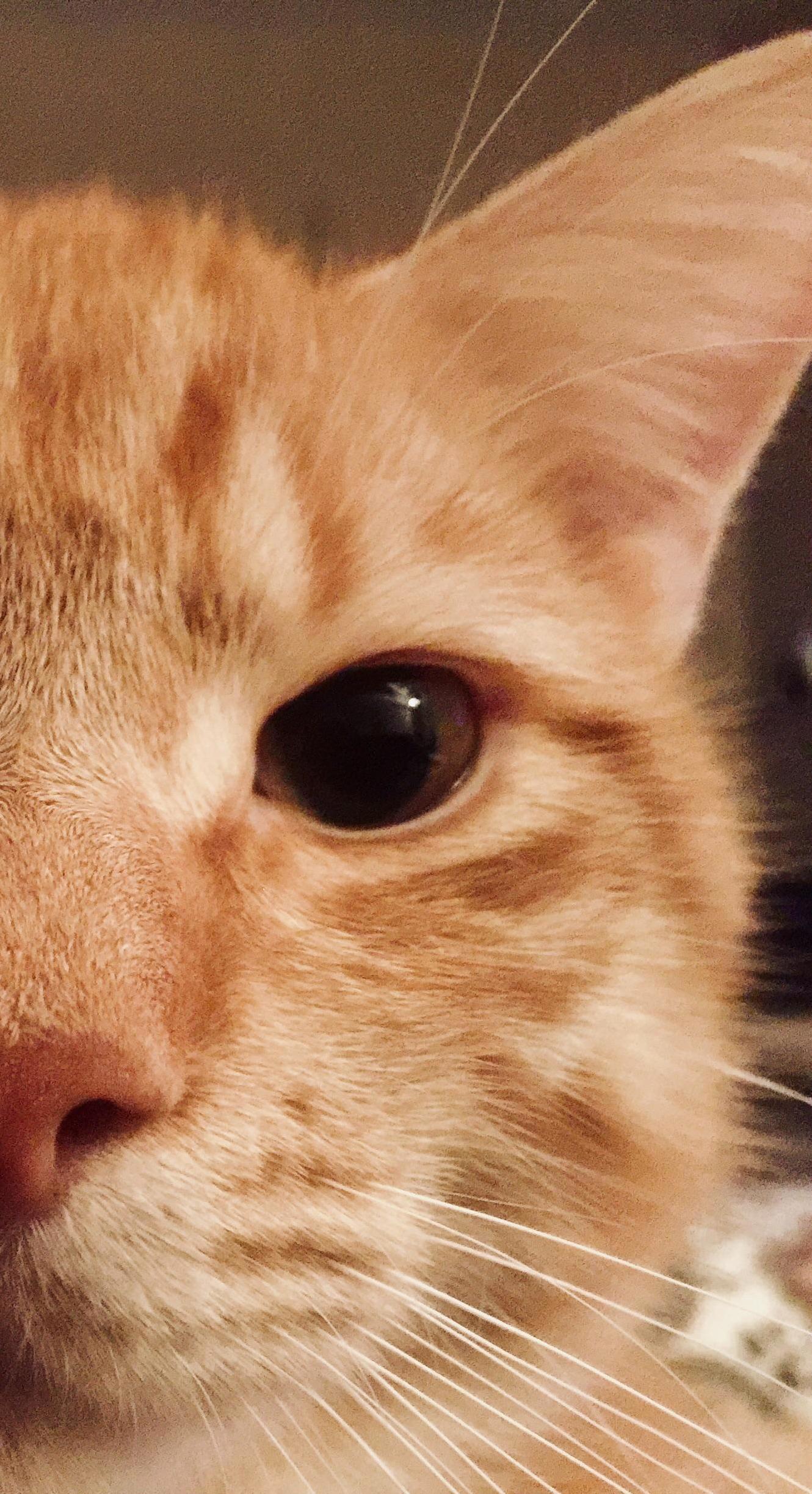 Hi There
