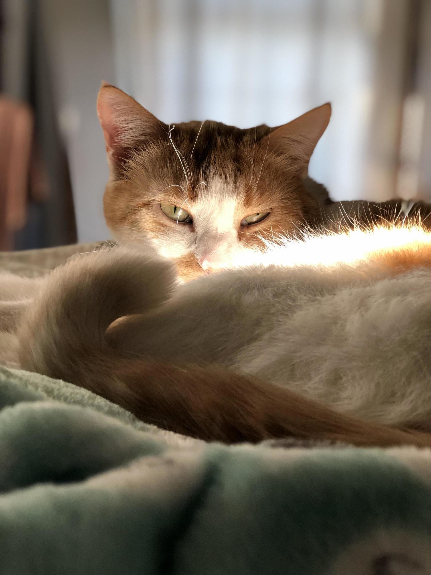 His Favorite Spot.