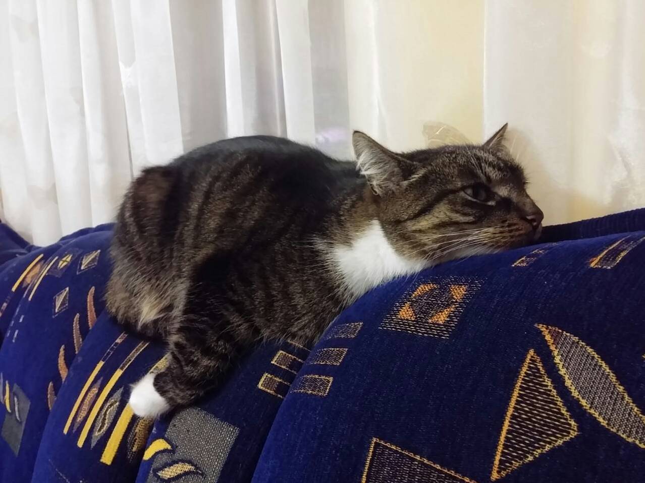 I Am Tired