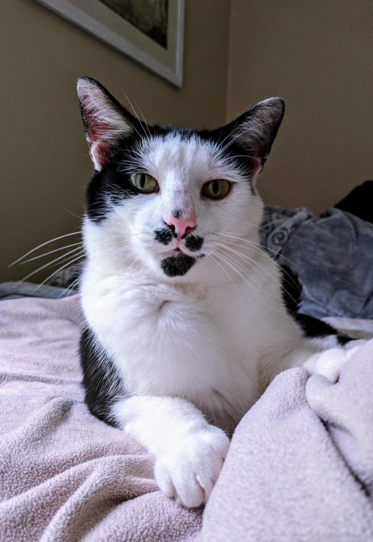 I Swear He Knows Hes Handsome.