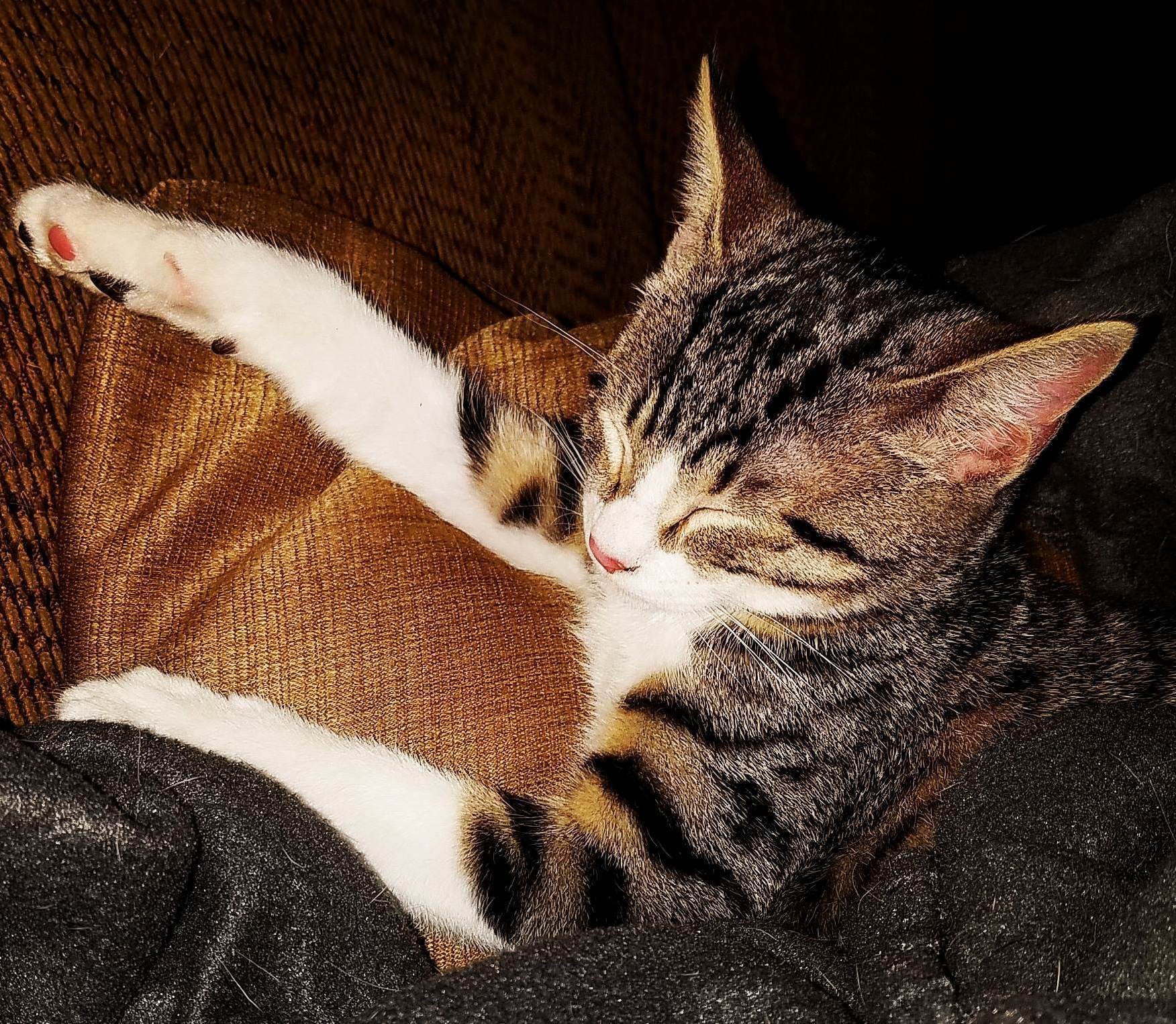 I Tucked Catrick Swayze In.