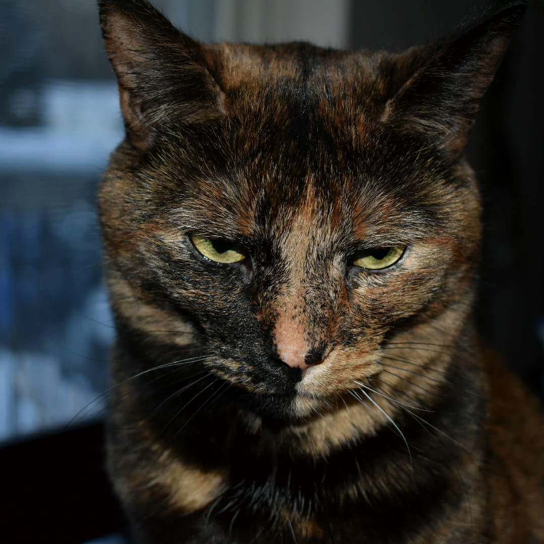 Im Not Sure I Want to Go to Sleep with Her Lurking in the House...