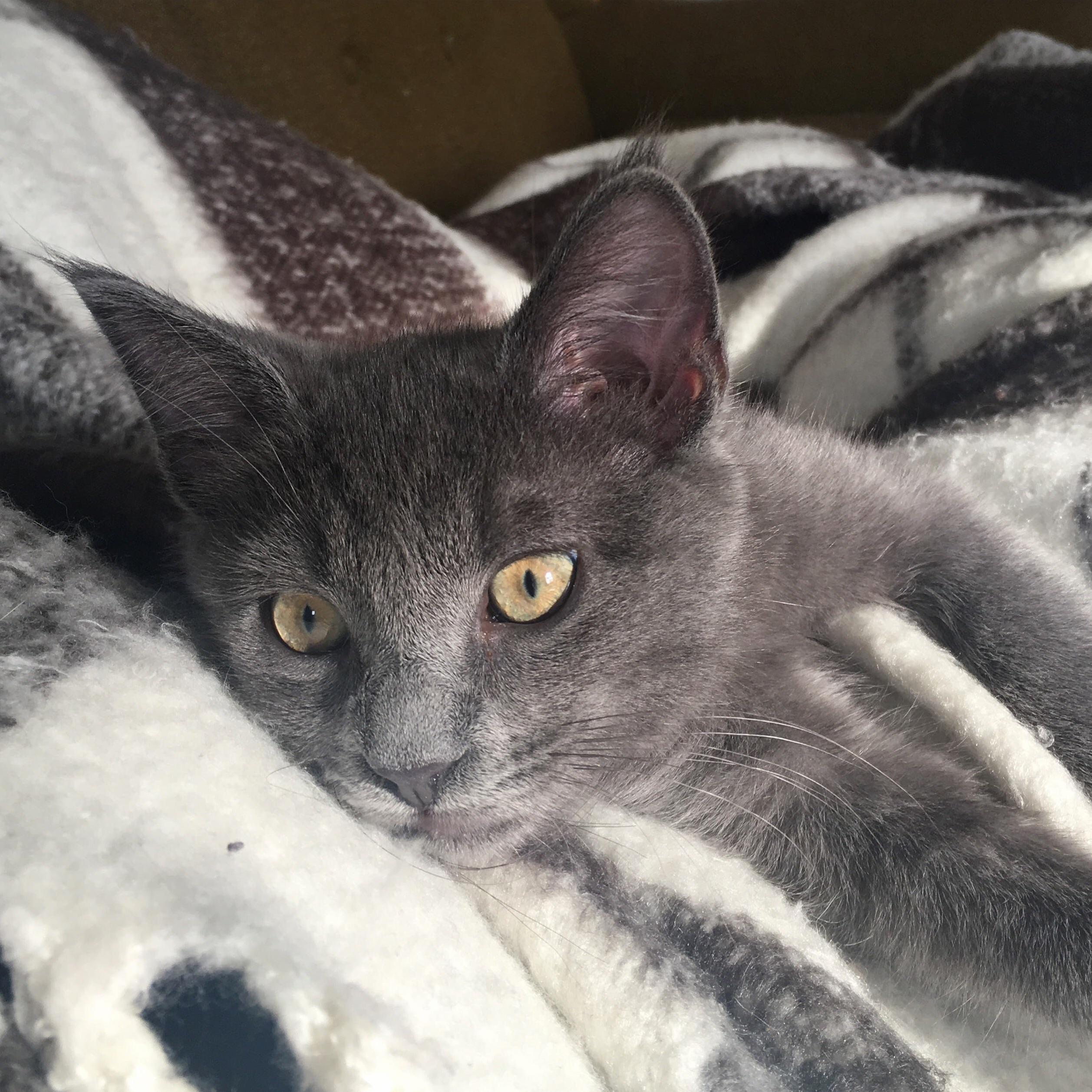Its Rare That My Little Big Man, Ulysses, Stops to Rest. Almost 6 Months.