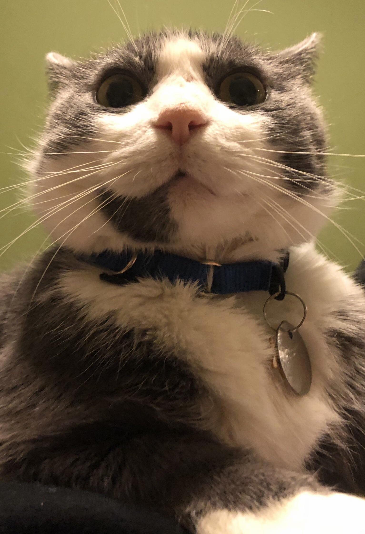 Jingle Just Realized Its 2018