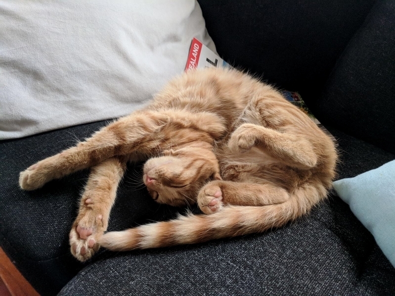 Just Chillin
