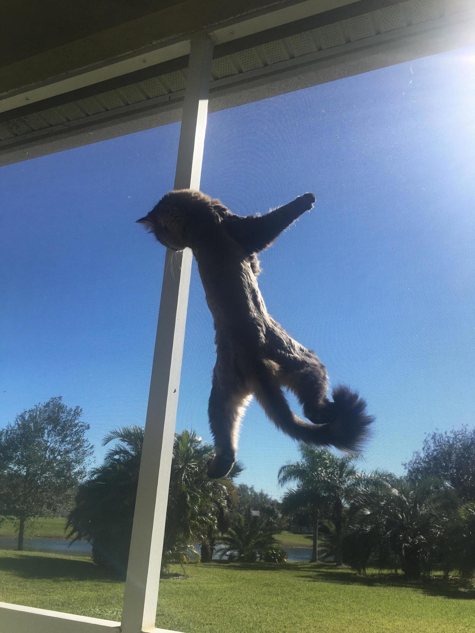 Just Hanging Out. (Ps Dont Judge the Bad Haircut)