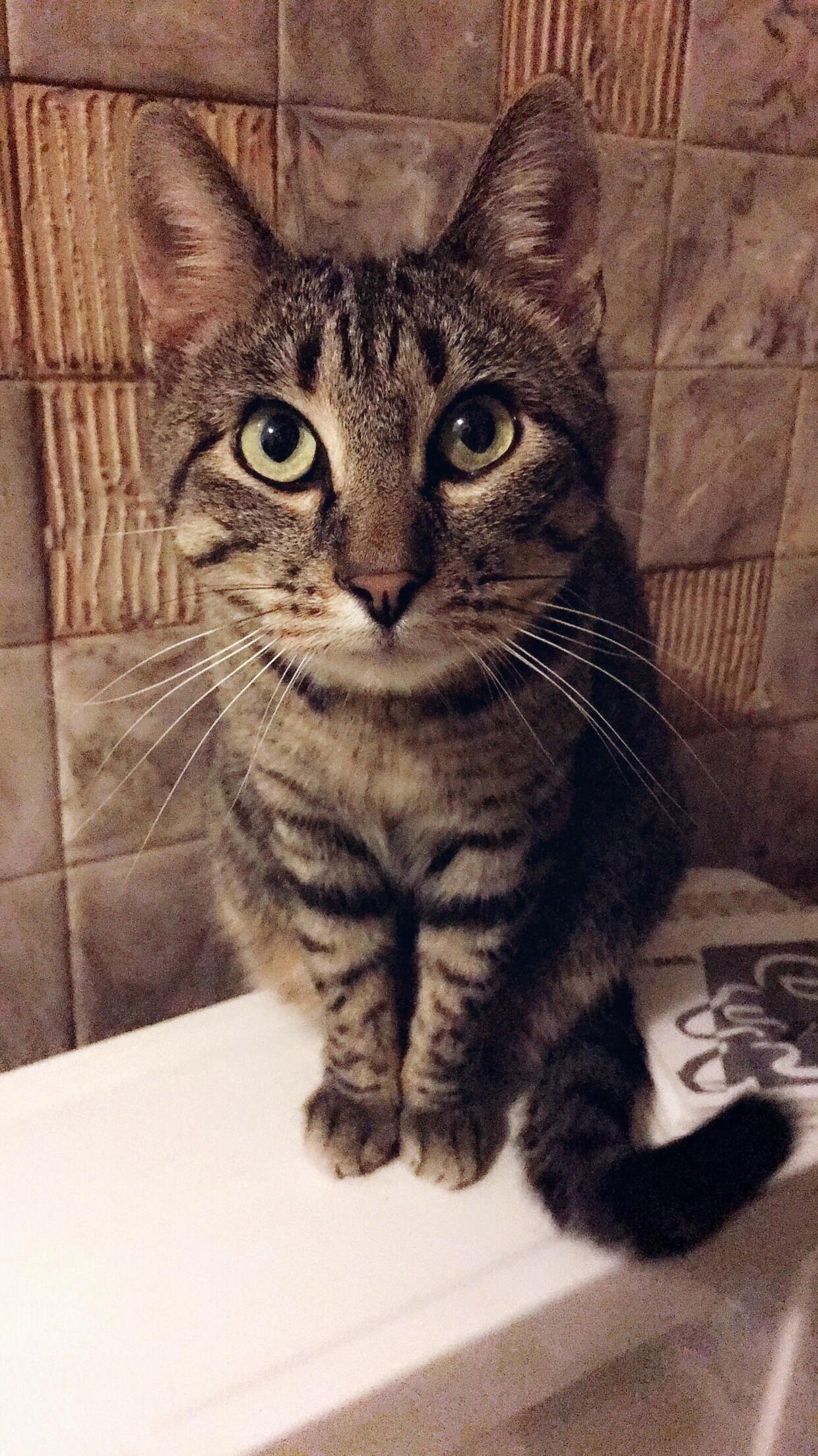 Jzargo Has Wares If You Have Coin