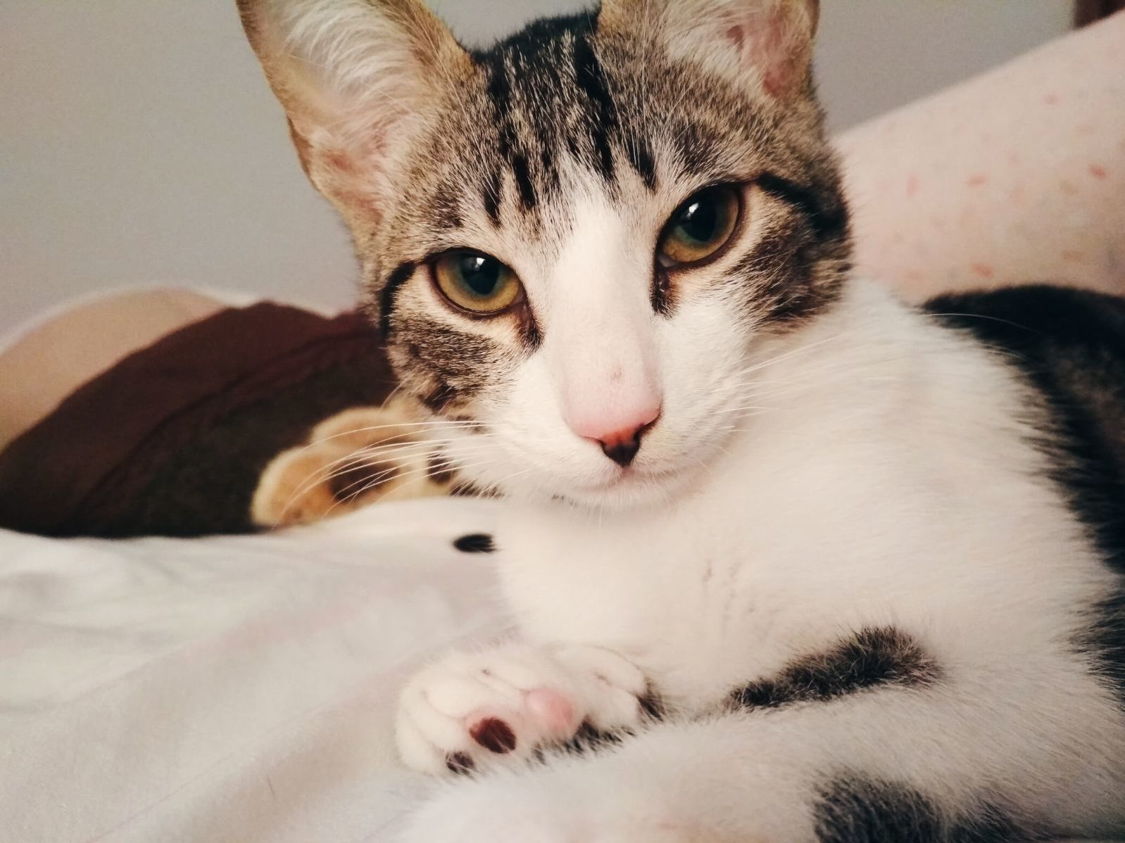 Loki Being Sexy