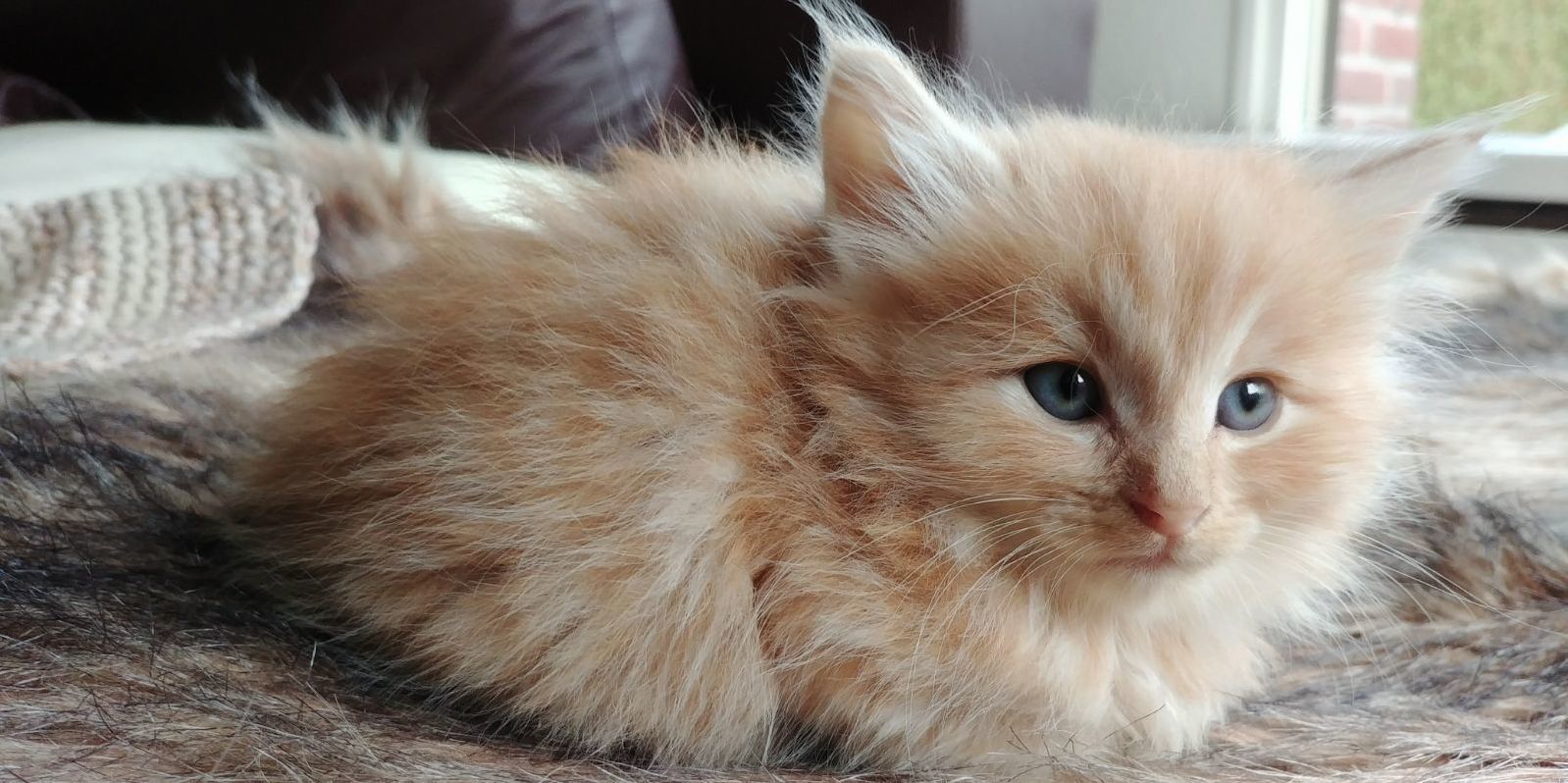 Looking for a Royalty Name for This Regal Girl
