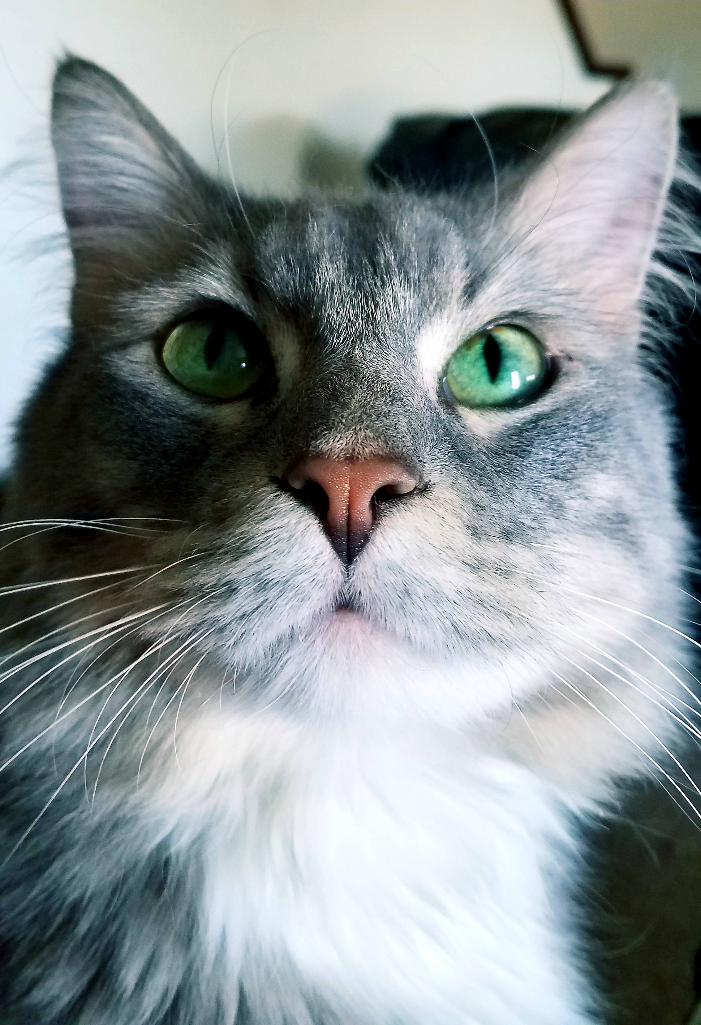 Meet Mr. Cash Money!