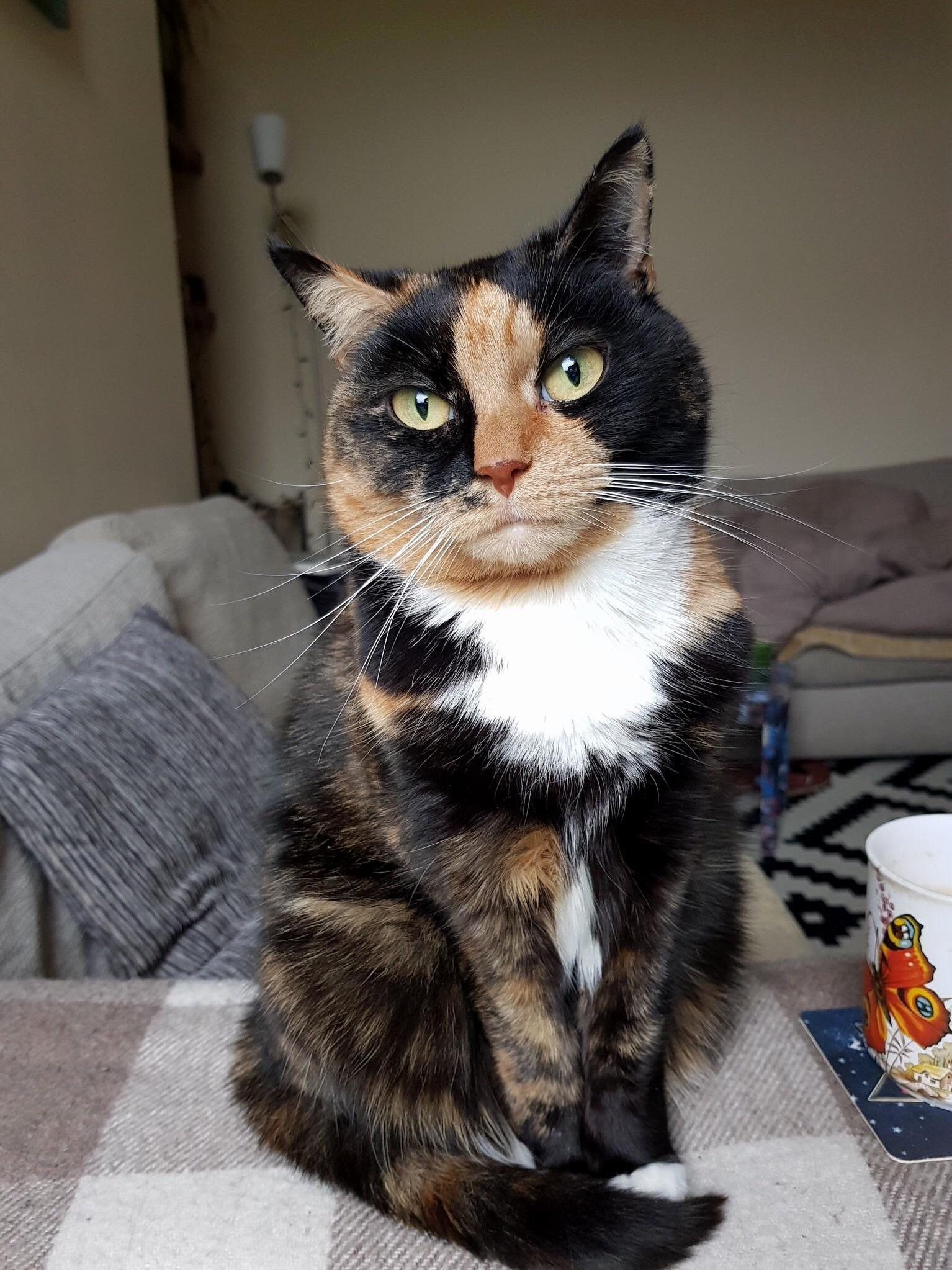 Mishka, Our Special Little Girl.