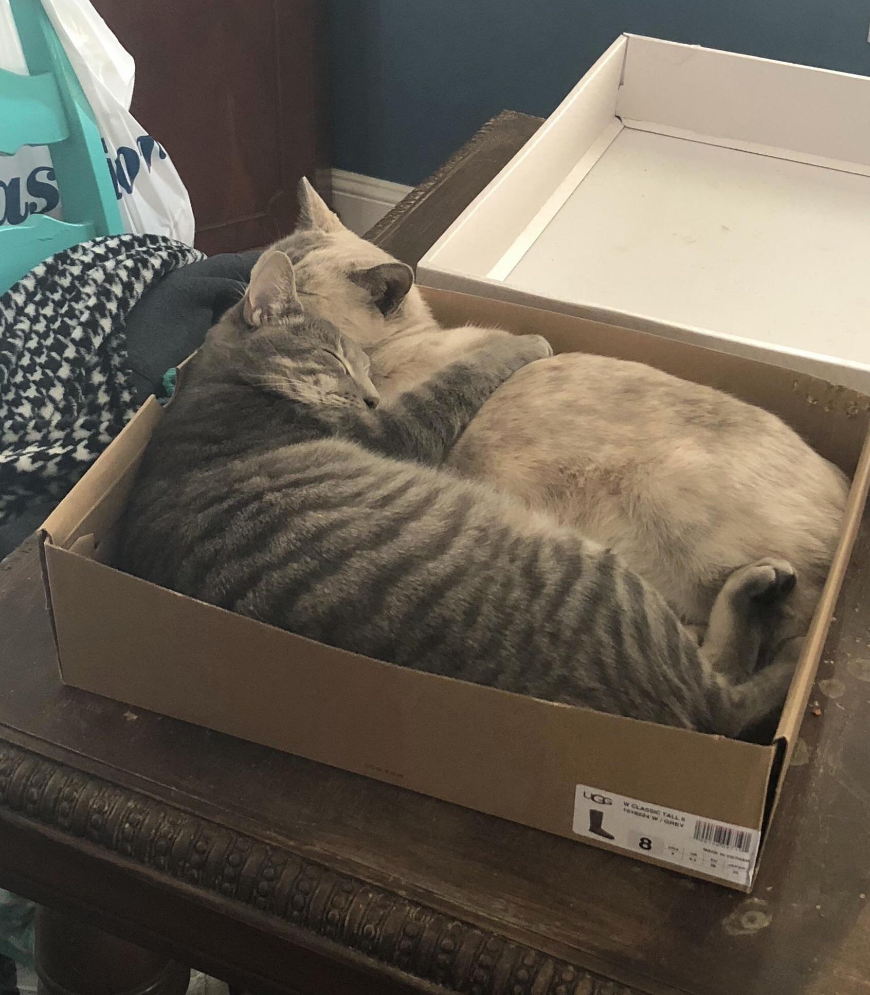 Mother and Son
