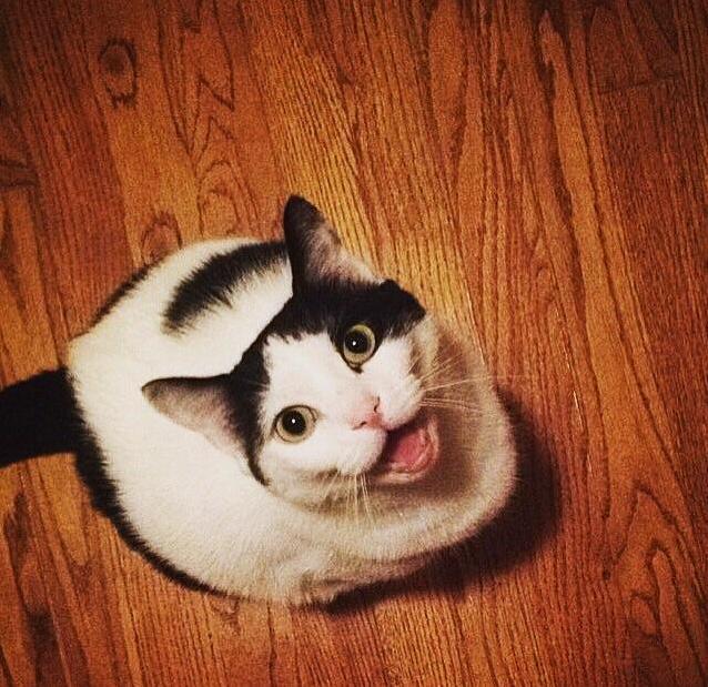 My Baby Splash 7yrs Old and Yelling at Me for Some Reason.