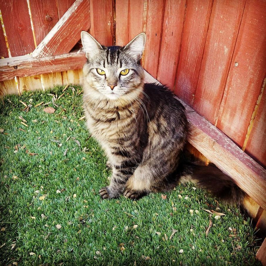 My Beautiful Boy, Nicholai