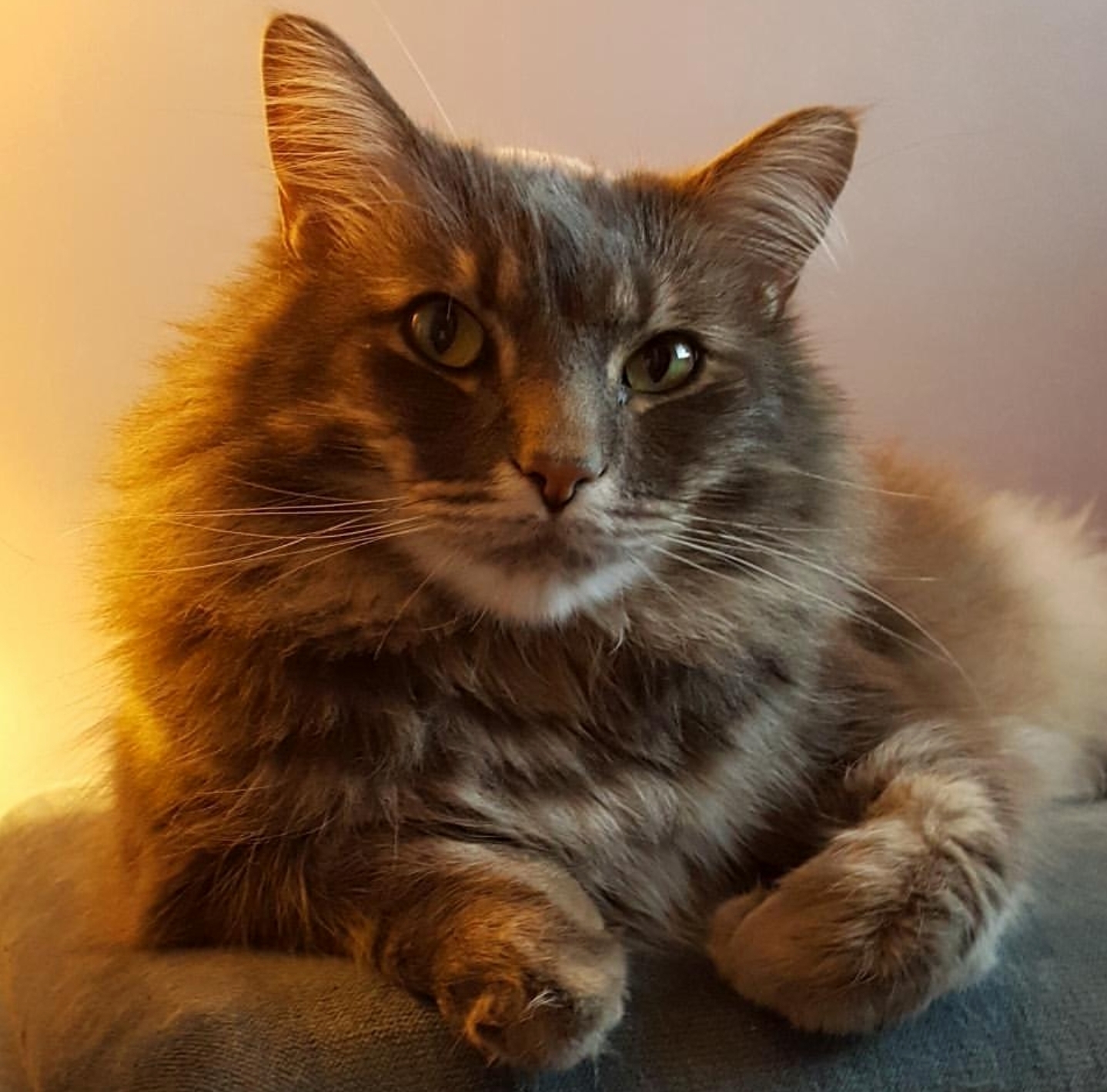 My Beauty Mr. Benton