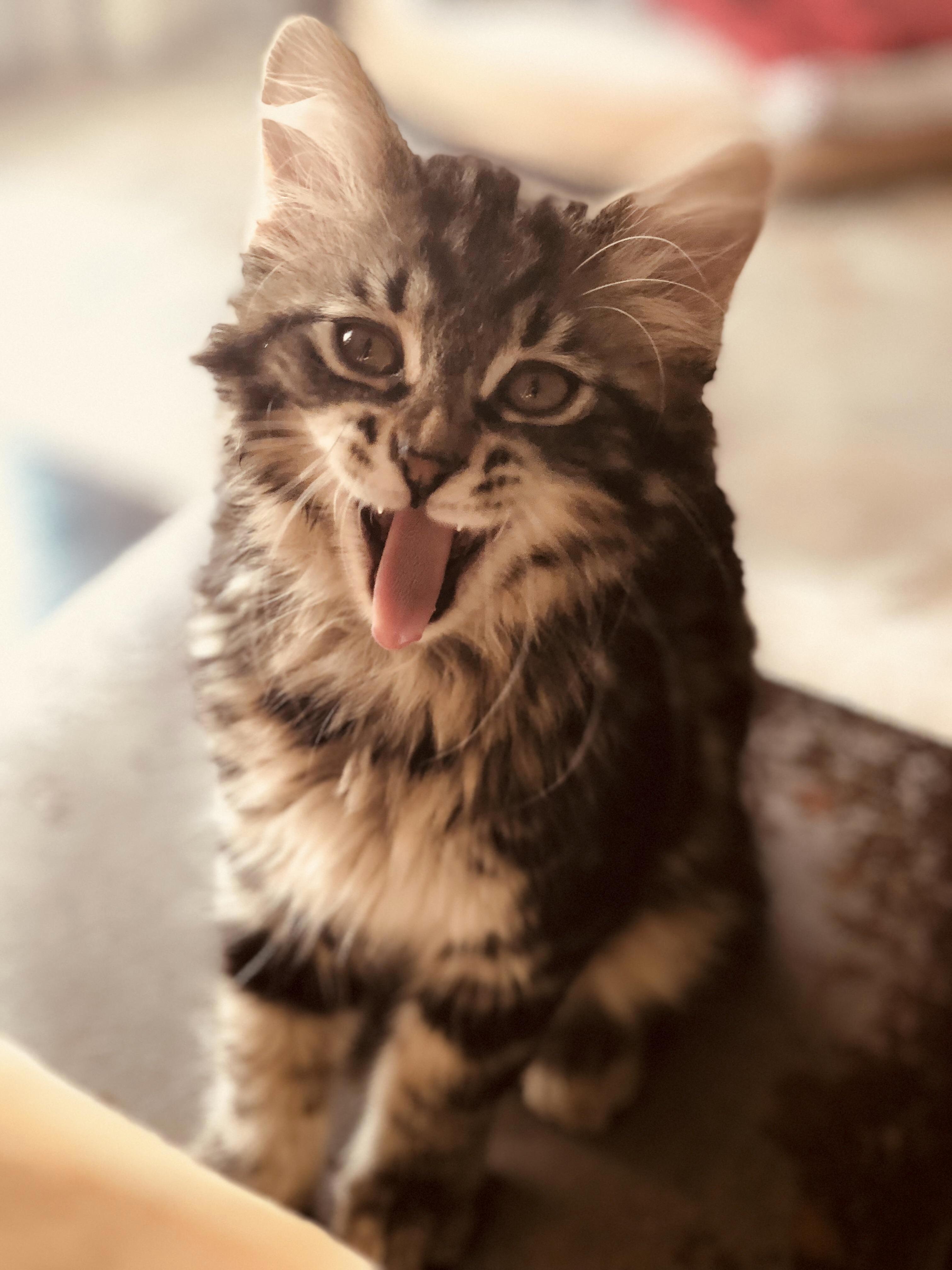 My Crazy Girl Rochelle
