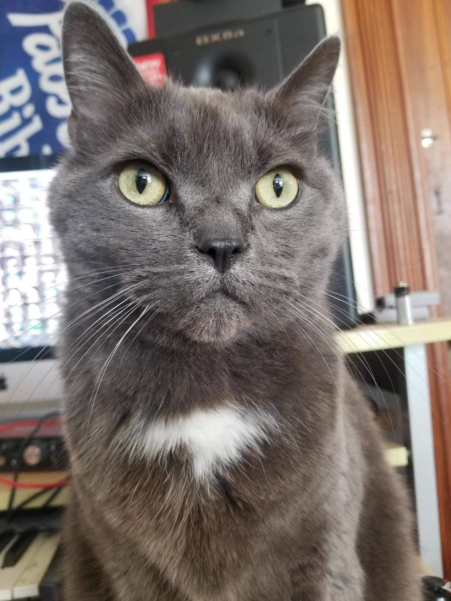My Furry Friend Eddie