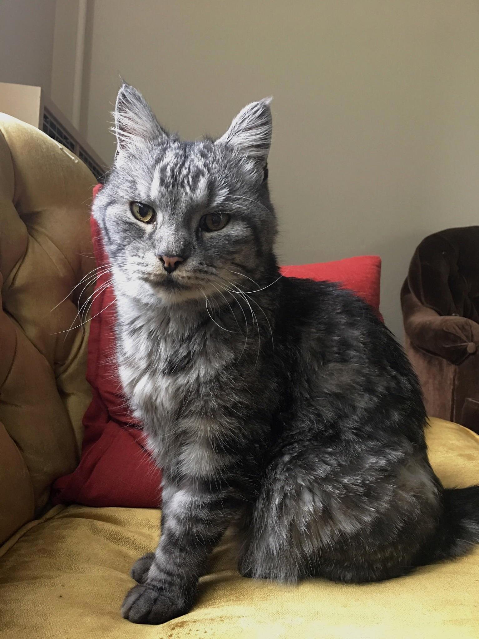 My Handsome Boy, Following Me Around This Morning.