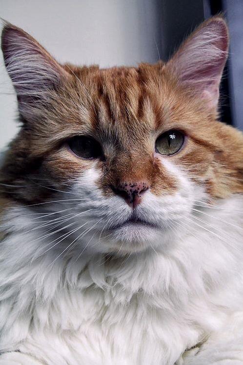My Handsome Boy