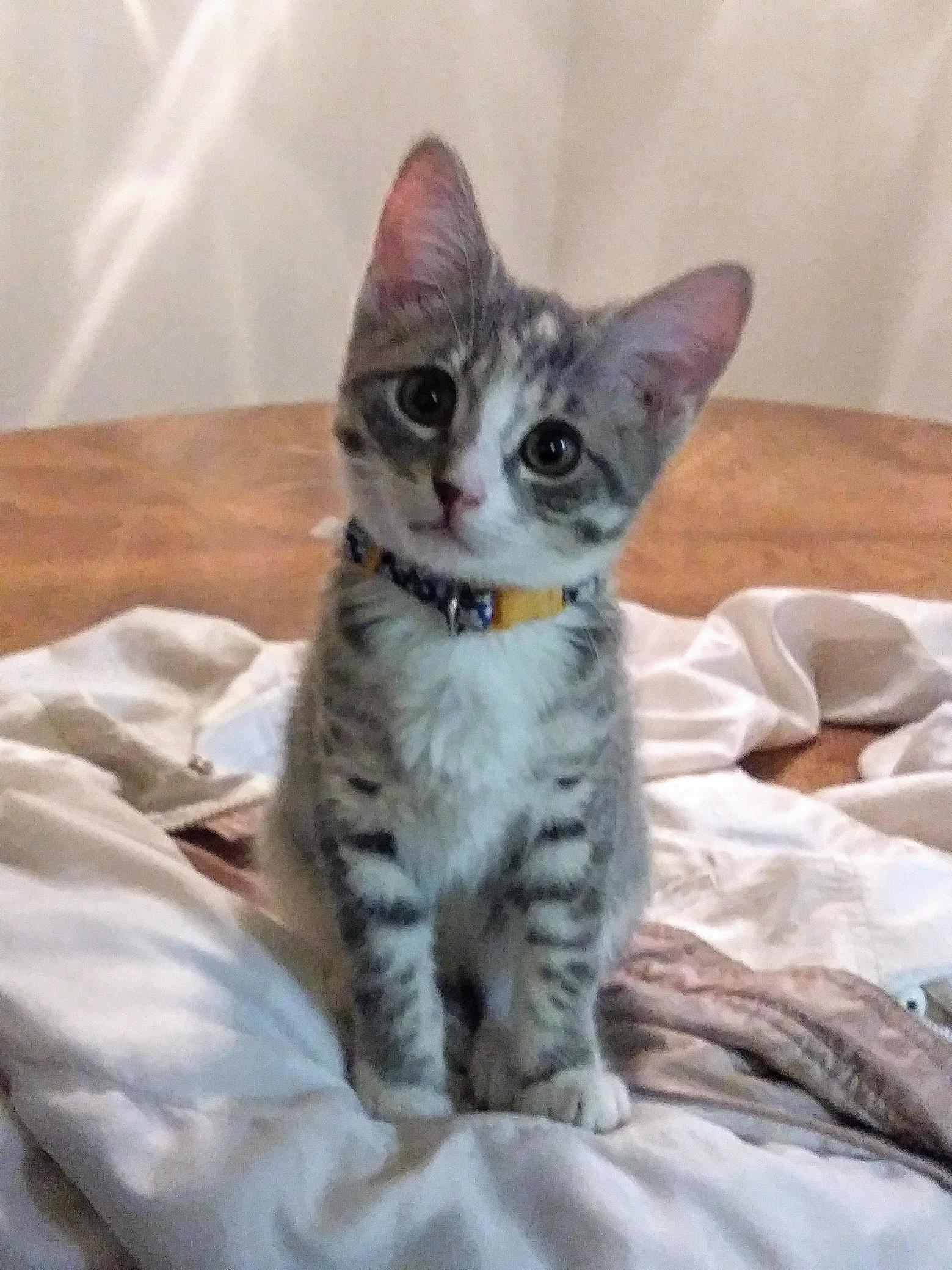 My Lil Millie Being Way Too Cute for Life