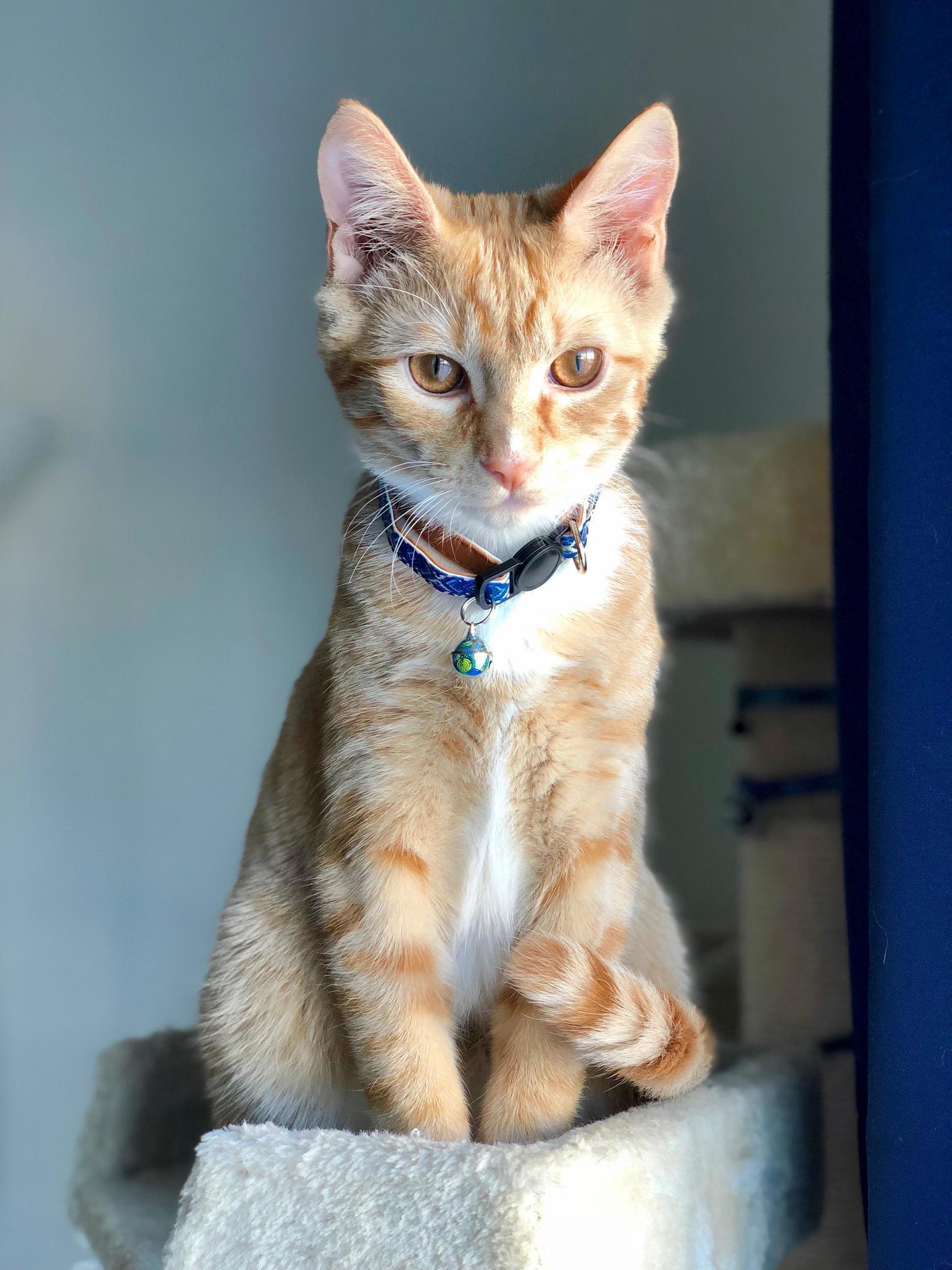 My Little Buddy.