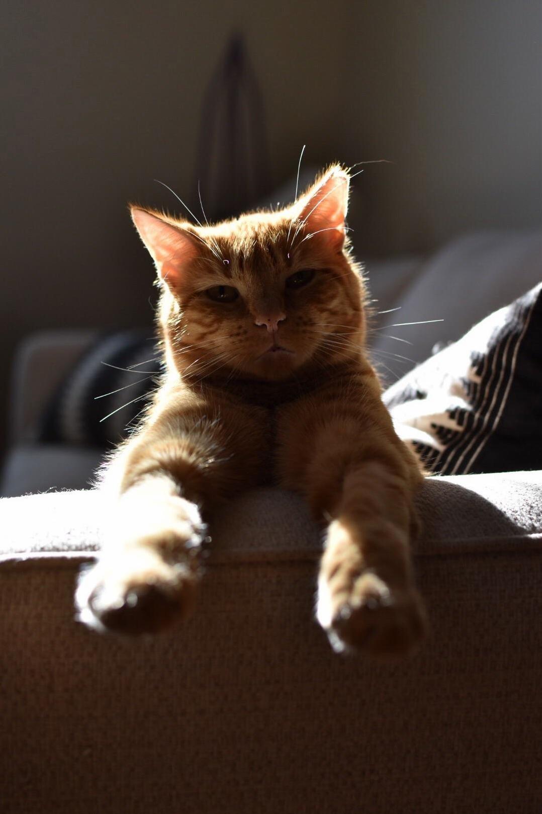 My Little Homie Posing