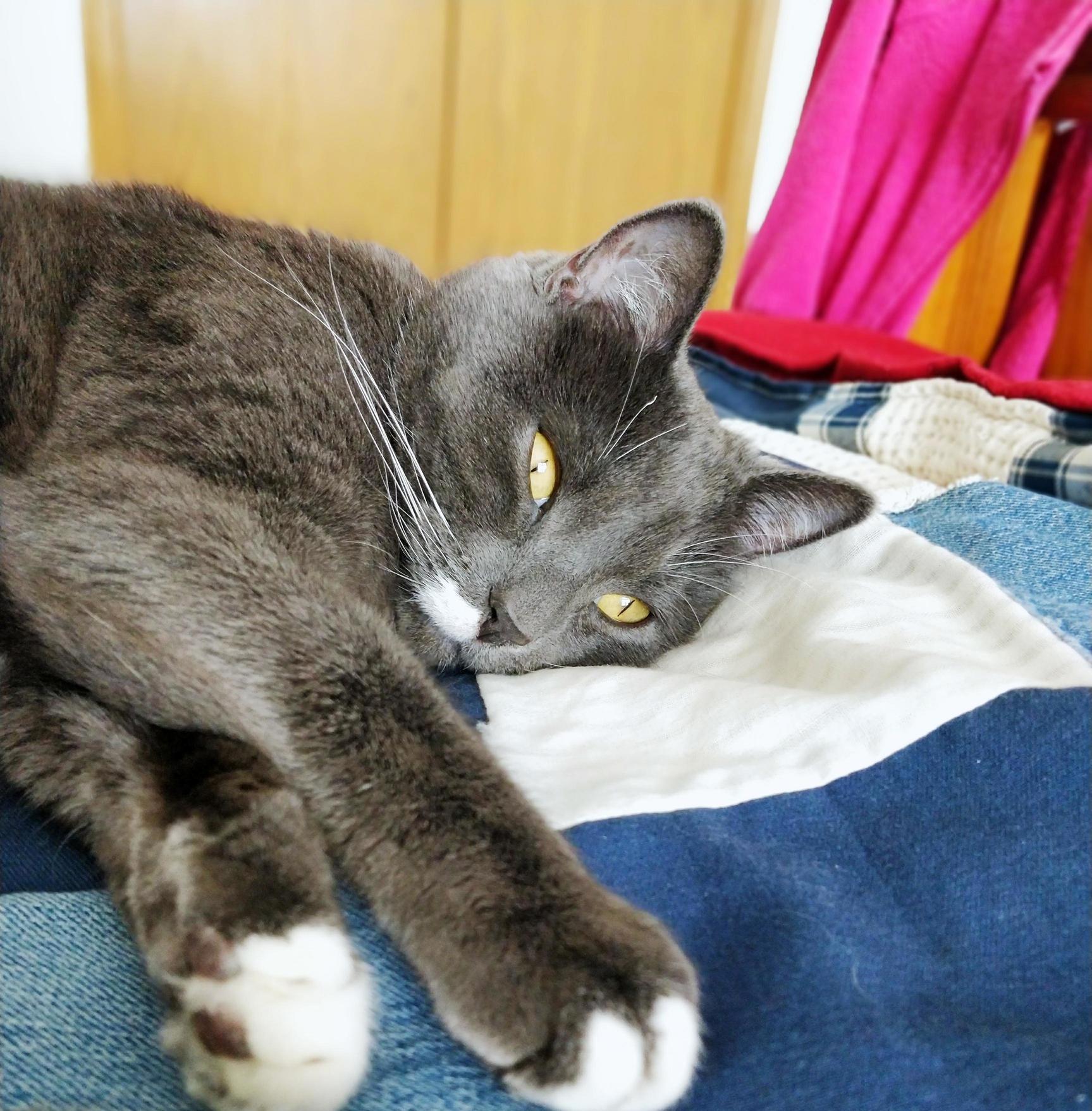 My Sleepy Boy William