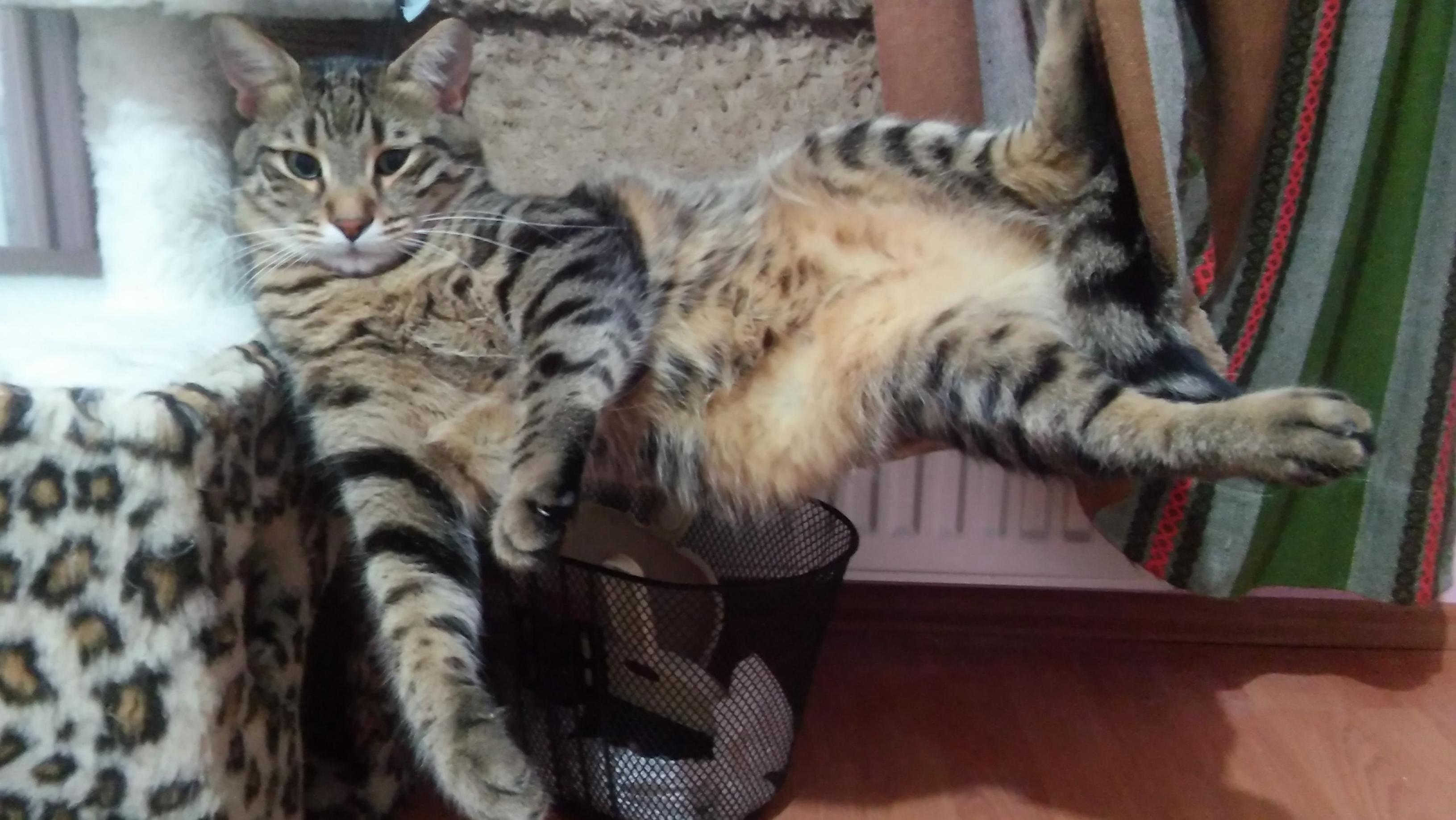 Nairo, My Lovely Son.