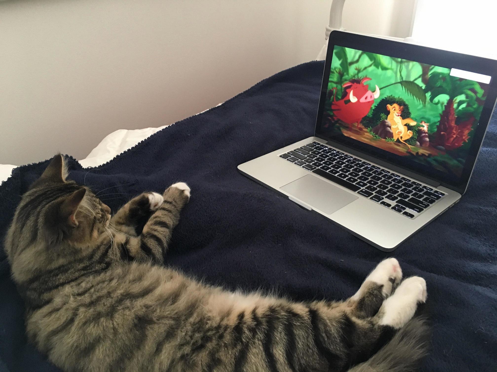 Not Sure How Much He Understood but He Was Enjoying It for Quite a While..