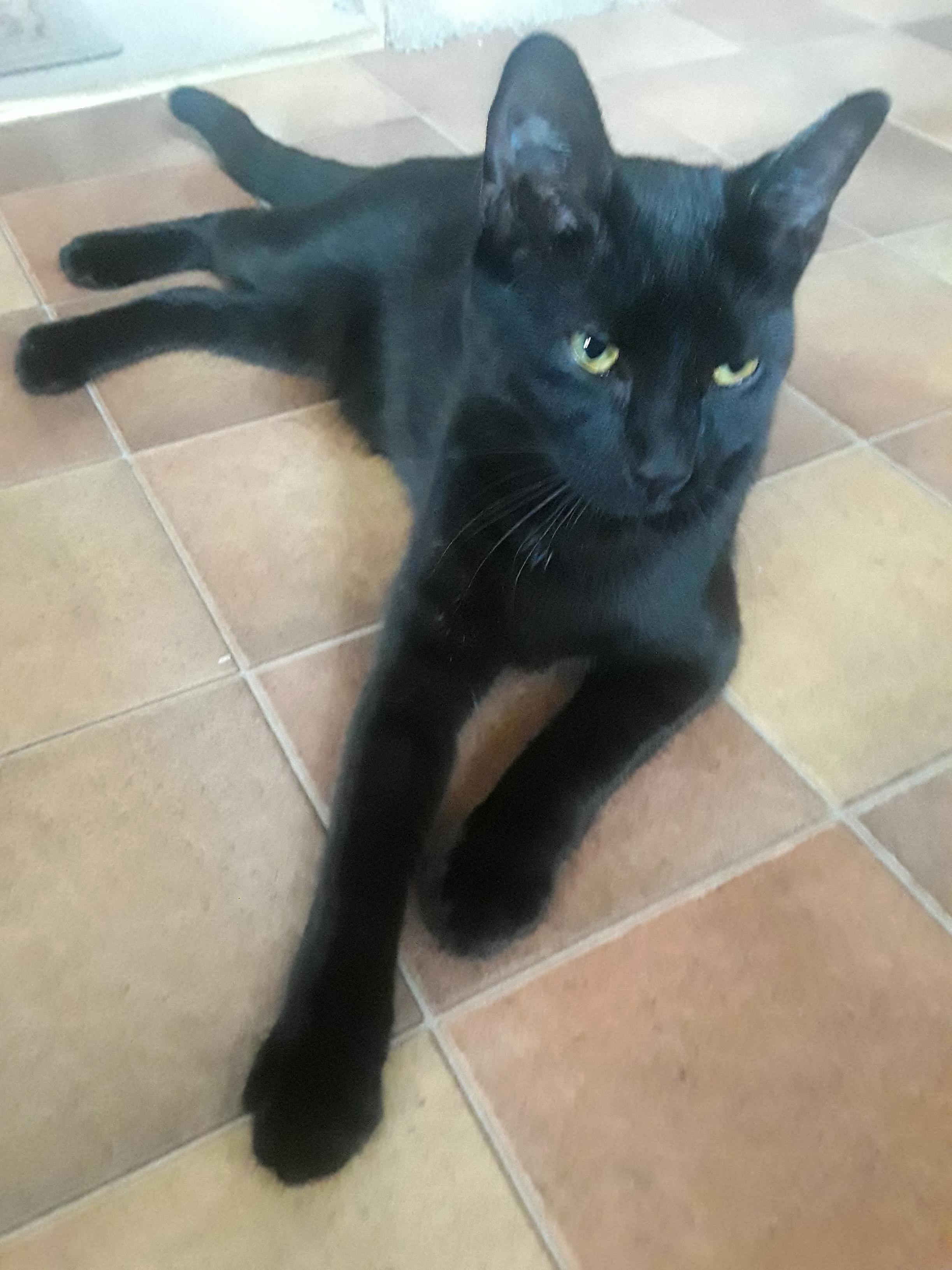 Our 1 Year Old Named Bishop