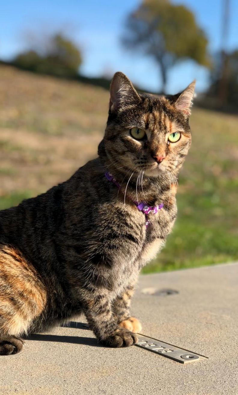 Our Little Girl Got Some Fresh Air Today