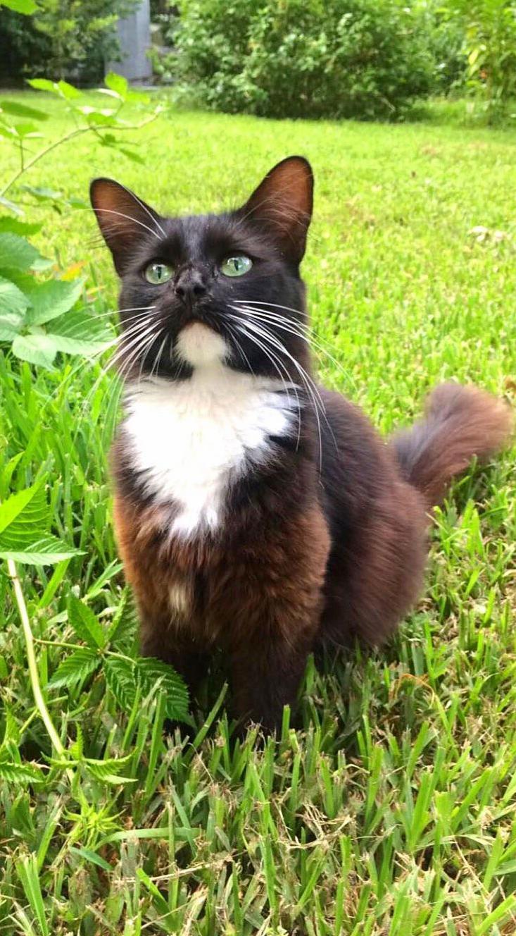 Our Little Girl