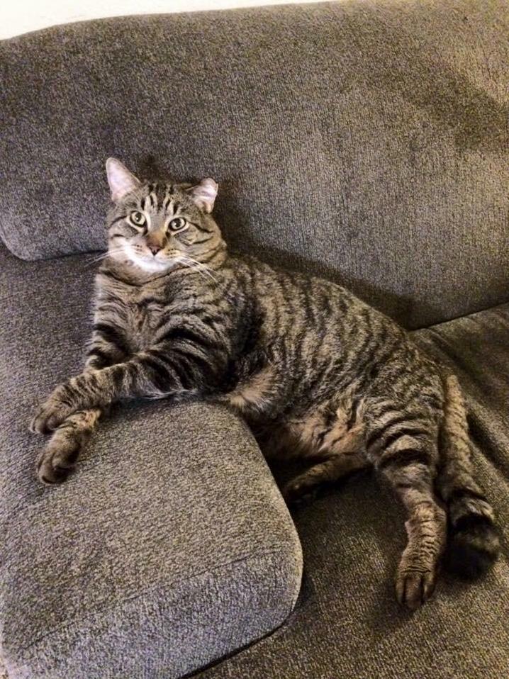 Paint Me Like One of Your French Girls