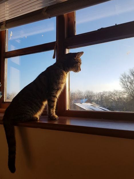 Pebbles Was Once a Great Philosopher in a Previous Life