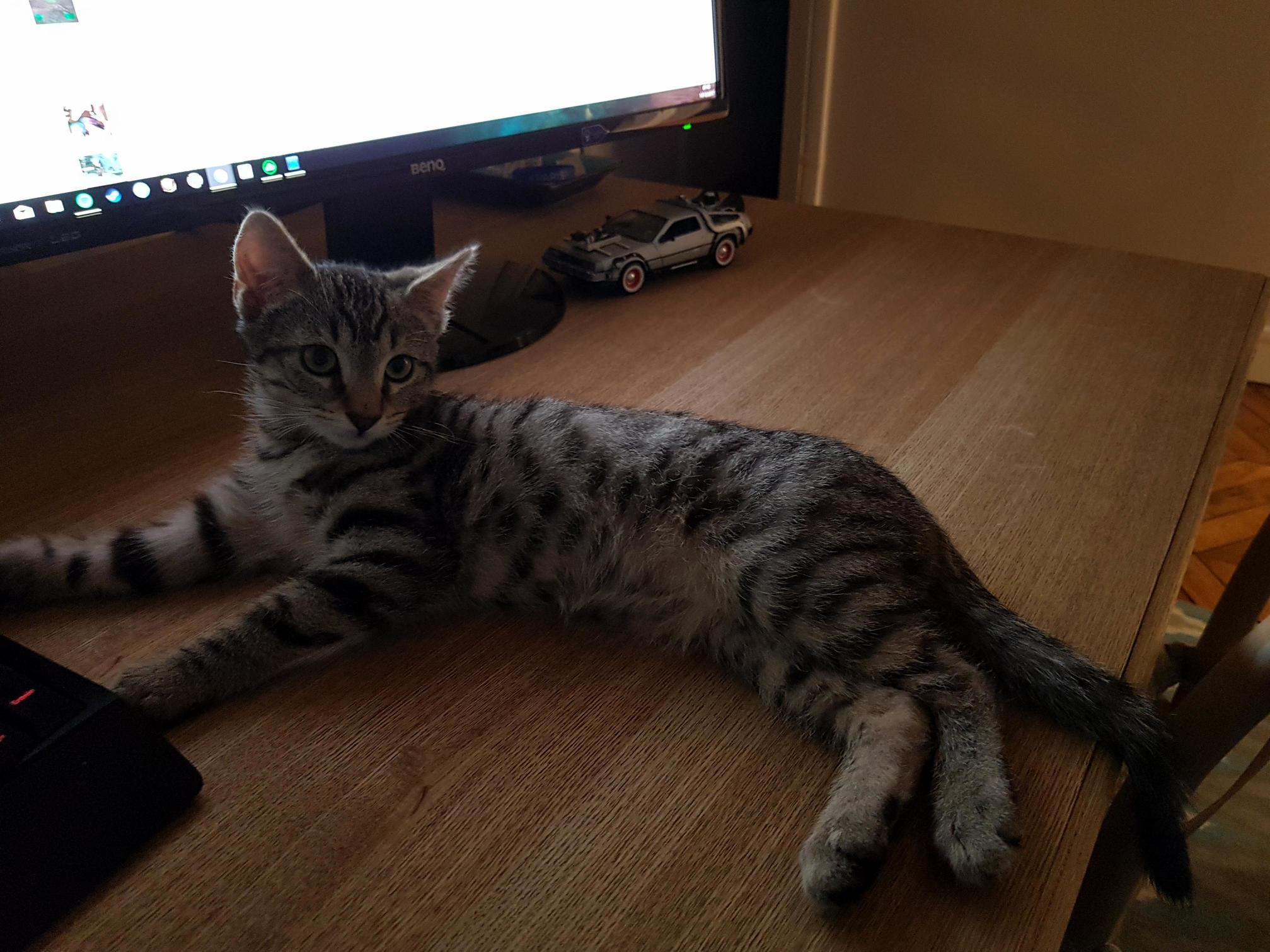 Posing