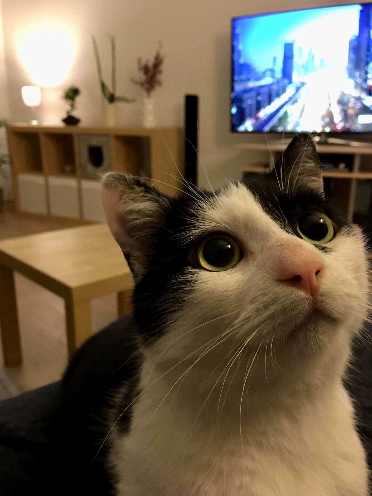 Prometheus Watching the Printer for the First Time