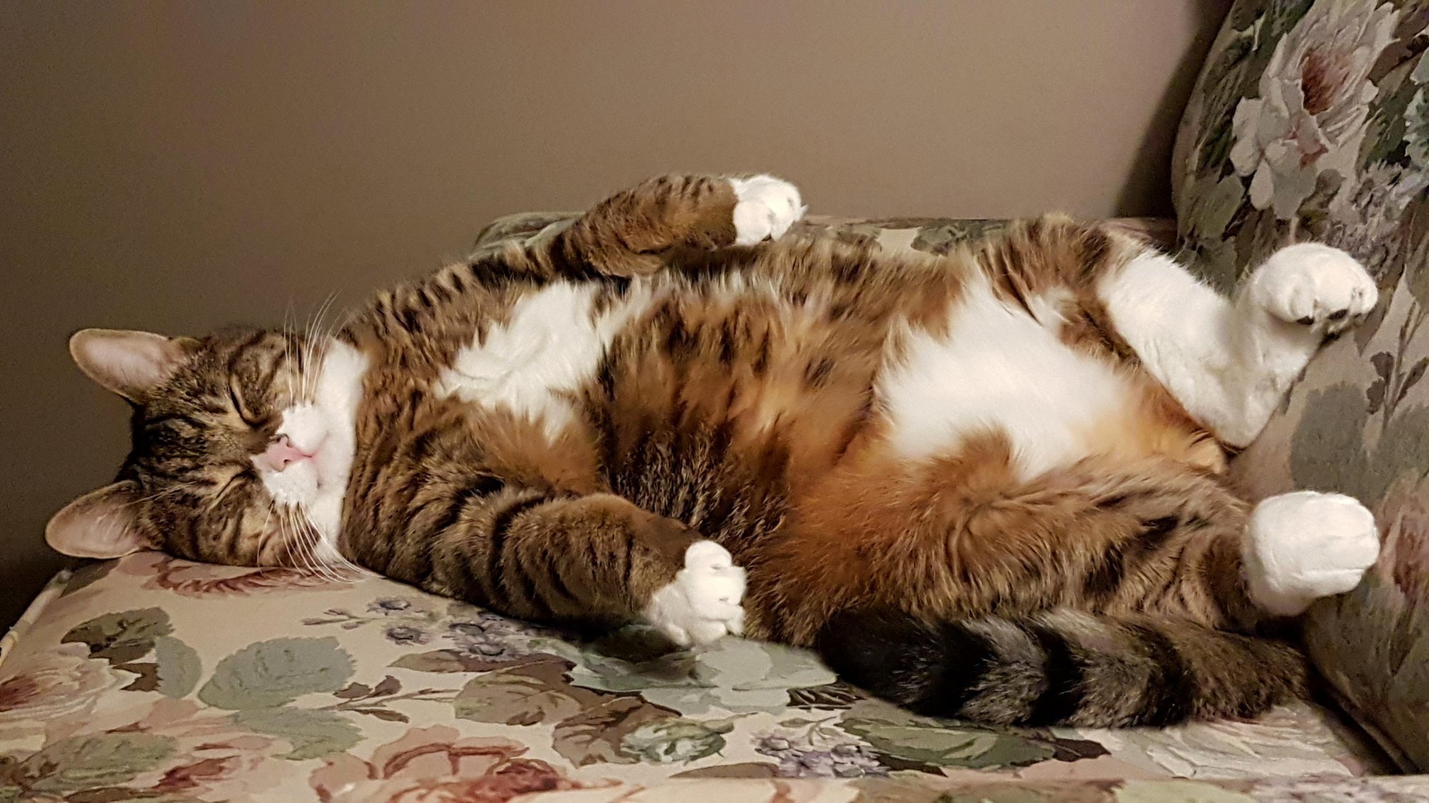 Pudge Grabbing Some Zzzzzzzzzs.