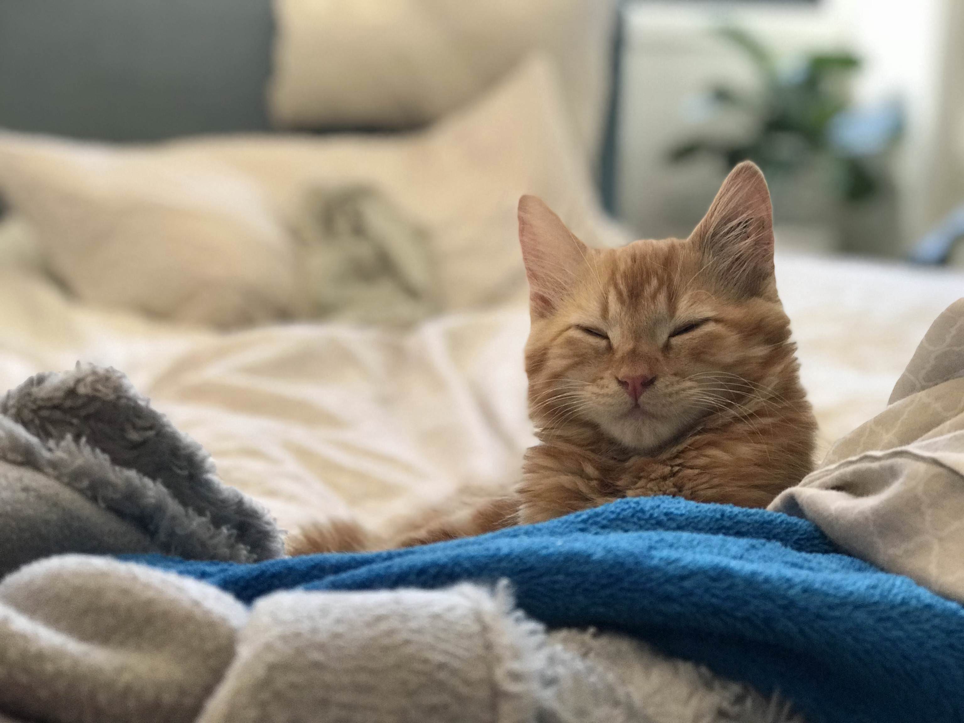 Reddit, Meet Syd!