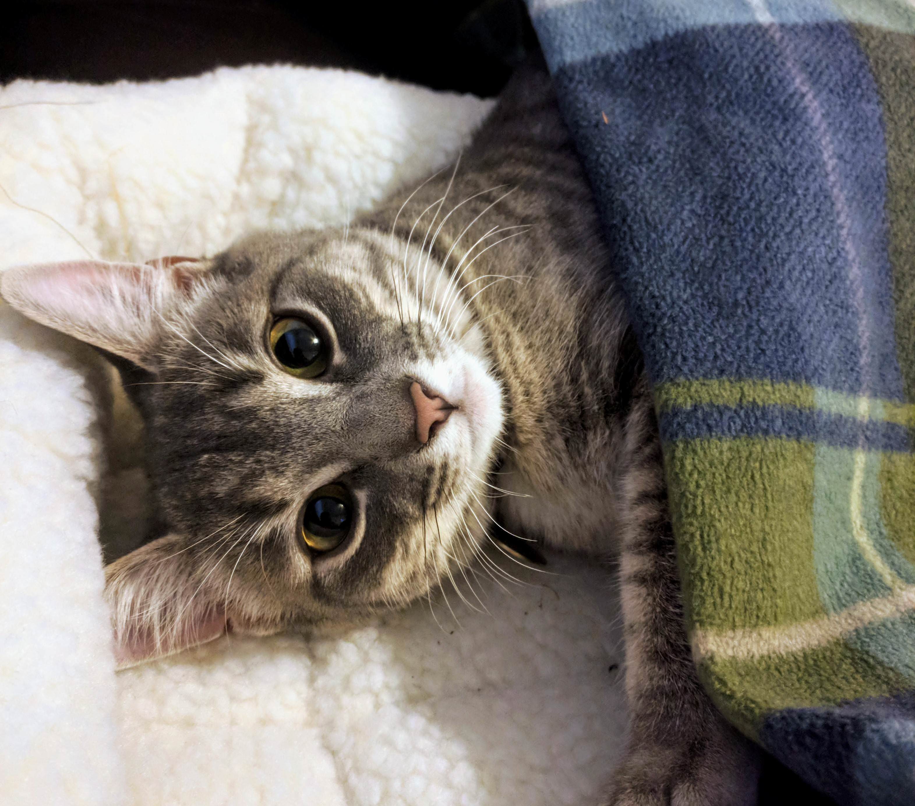 Sabine Tucked in Before the Snow Storm This Morning