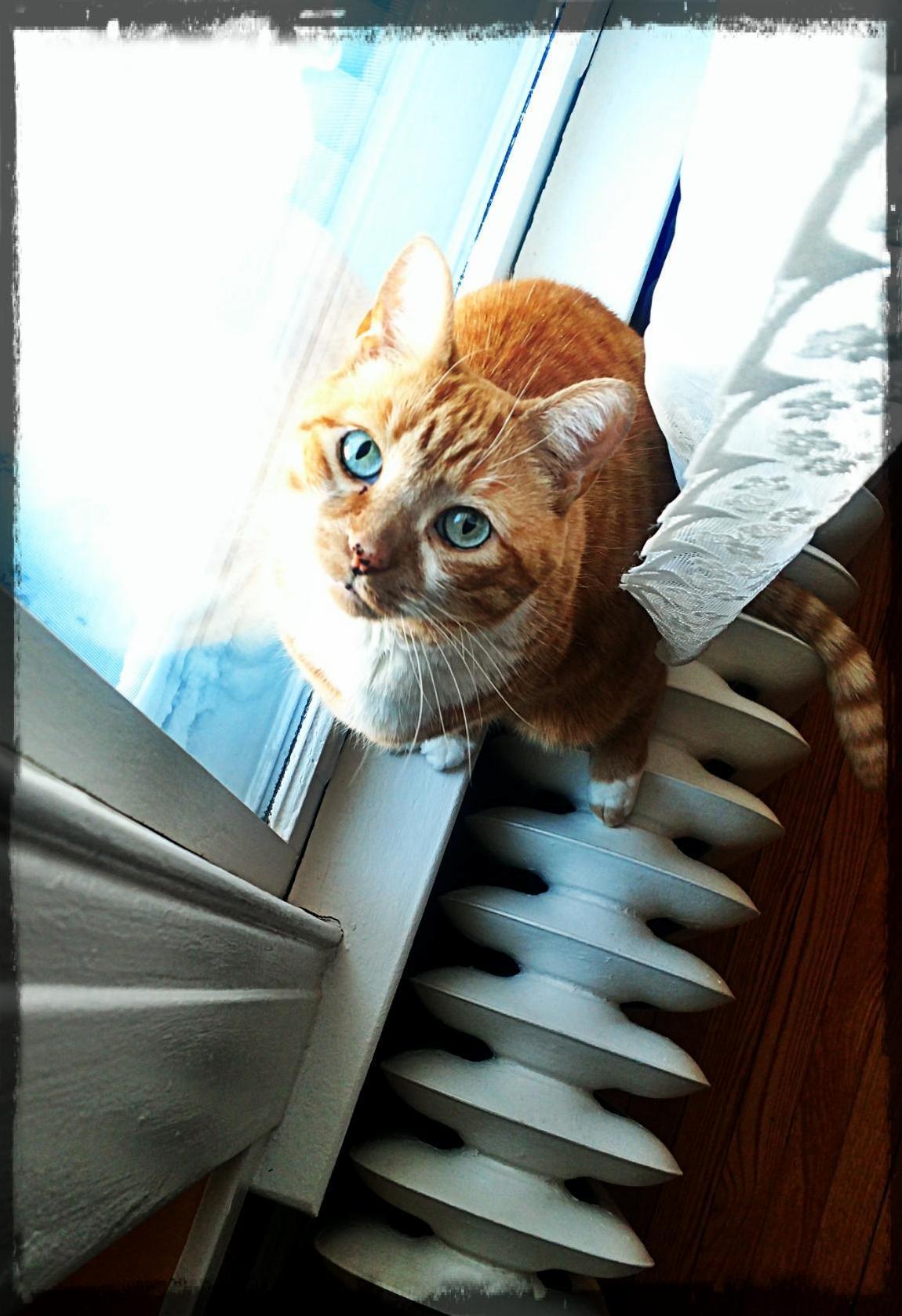 Sammy Inna Window