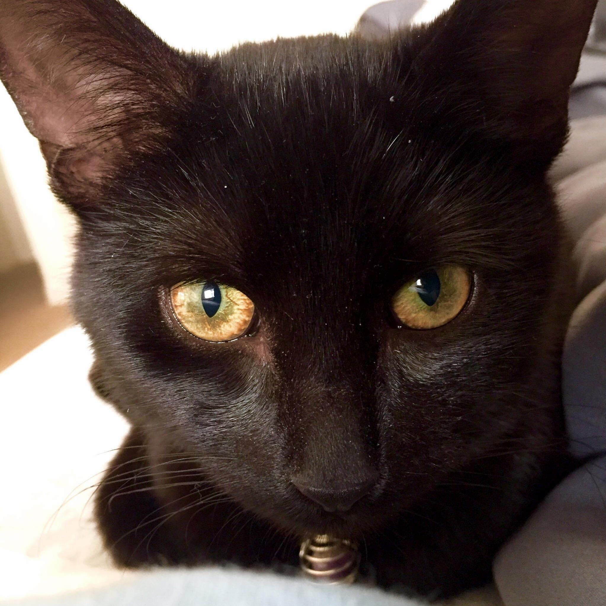 She Finally Let Me Take an Aesthetic Picture of Her!