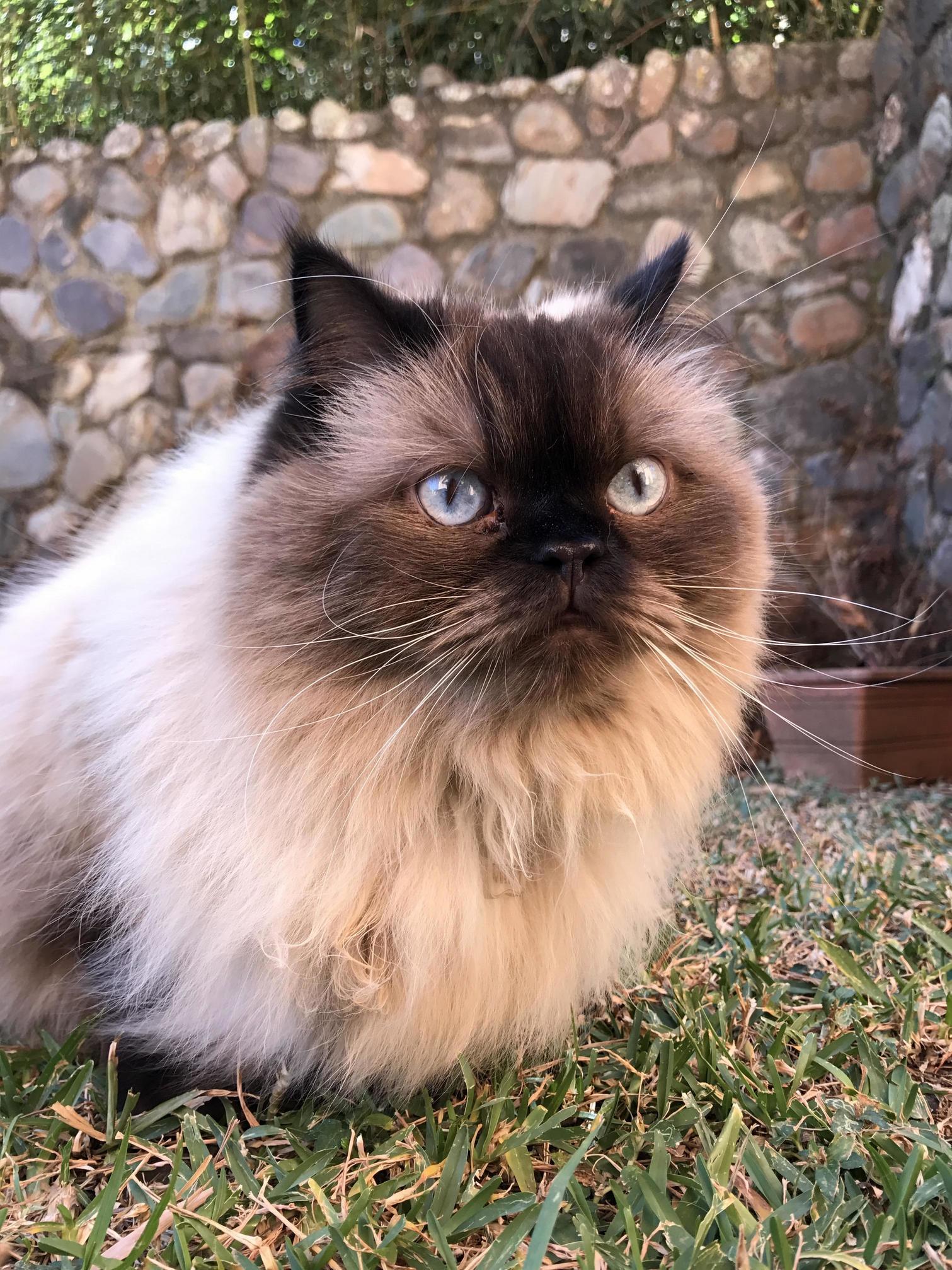 She Loves Outside