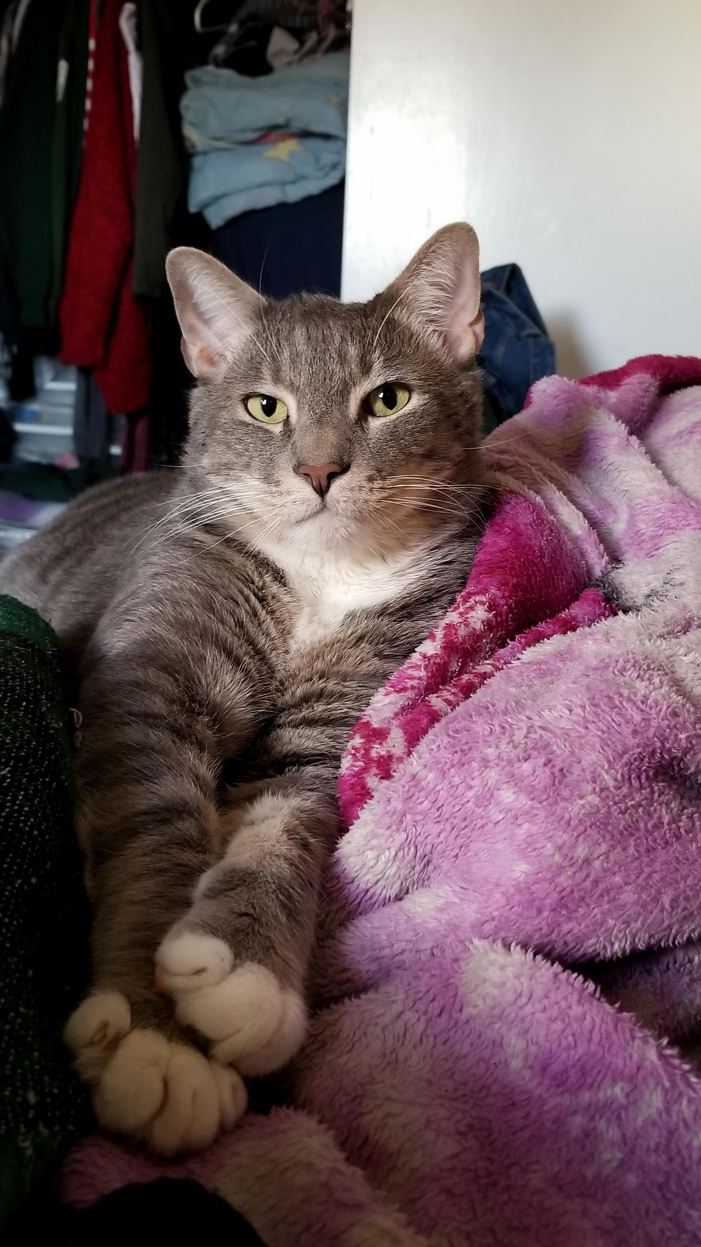 Sitting Pretty
