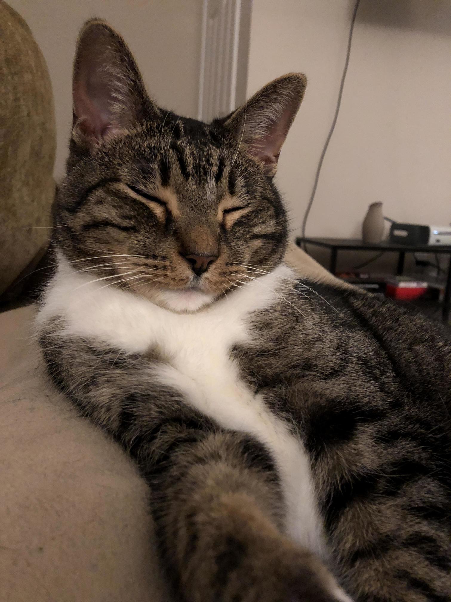 Sleepy Eyes
