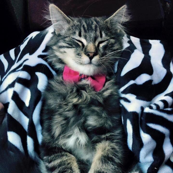 Snugglebug!