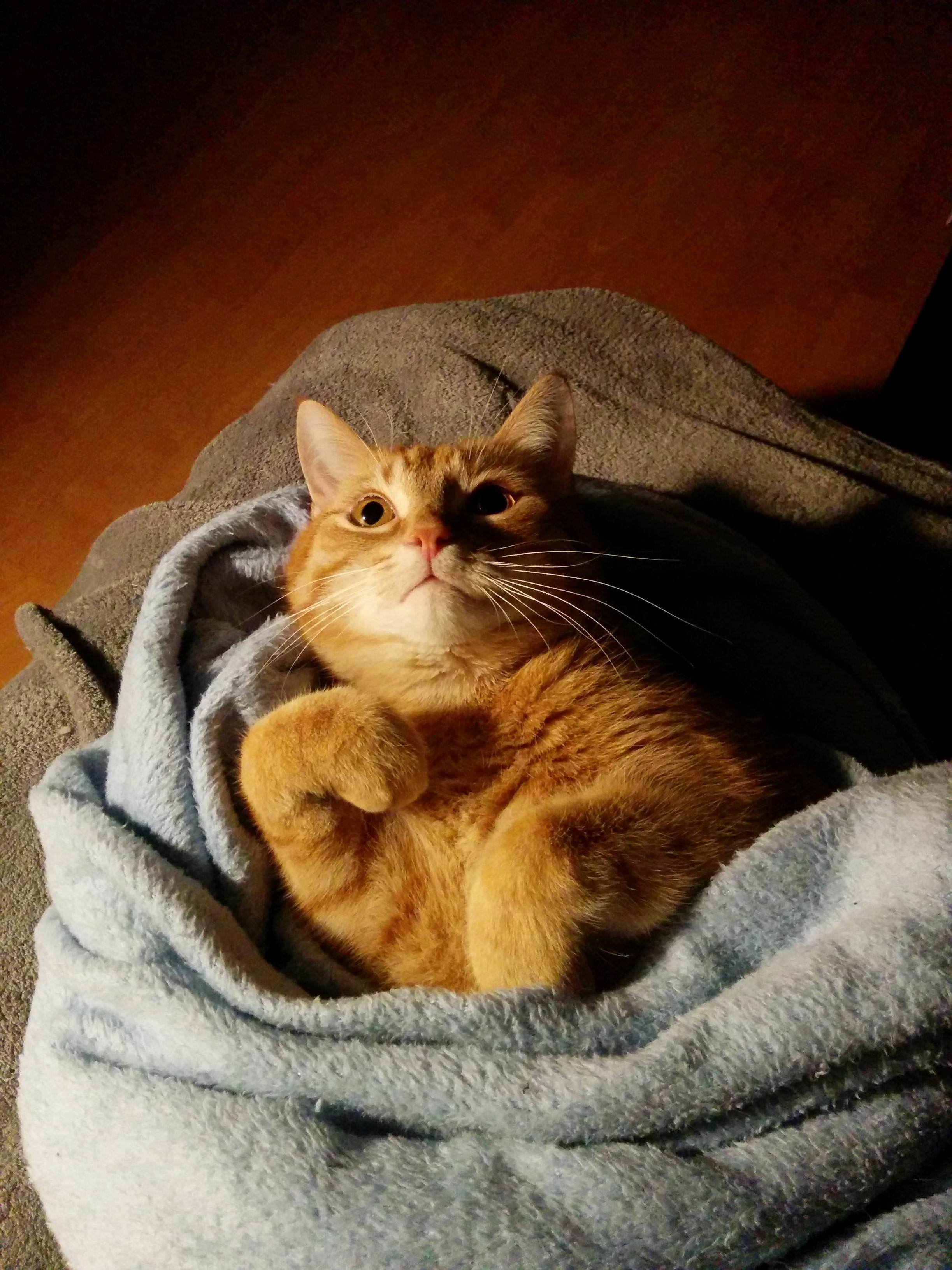 Sometimes Hes So Overwhelmingly Cute I Could Cry.